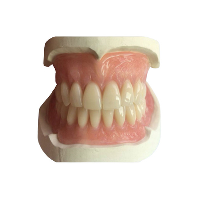 Il est facile maintenir et adapter CAD-CAM 3D qu'en caoutchouc a imprimé des couronnes