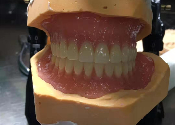 Il est facile maintenir et adapter CAD-CAM 3D qu'en caoutchouc a imprimé des couronnes