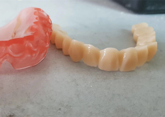 OEM réaliste 3D de données numériques a imprimé les modèles dentaires pour le dentiste Study