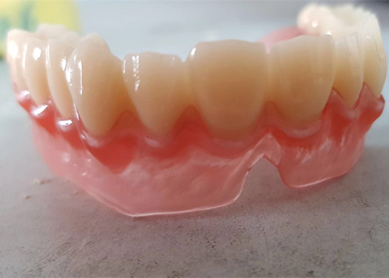 OEM réaliste 3D de données numériques a imprimé les modèles dentaires pour le dentiste Study