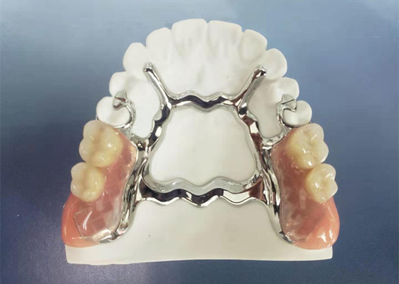 Natrural ombragent 3D imprimant le dentier démontable fixe pour le dentiste Study