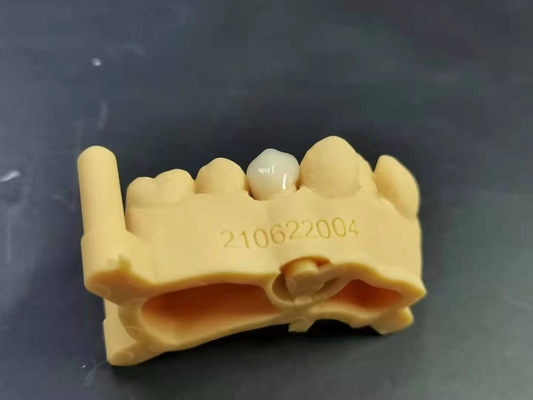 OEM 3D imprimant la conception dentaire de Digital de laboratoire de dentier acrylique flexible