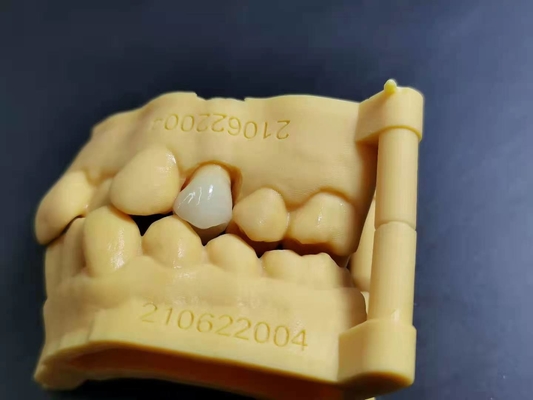 OEM 3D imprimant la conception dentaire de Digital de laboratoire de dentier acrylique flexible