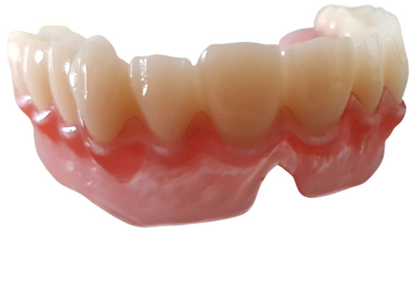 OEM réaliste 3D de données numériques a imprimé les modèles dentaires pour le dentiste Study