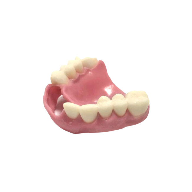 DAO FAO 3D imprimant le laboratoire dentaire de dentier naturel de couleur de dentiers