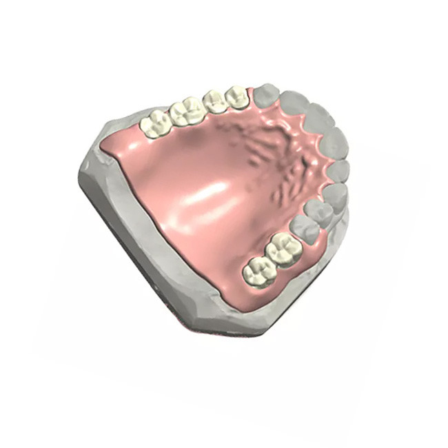 Modèle dentaire naturel Customized de la couleur 3D de dentier partiel dentaire démontable